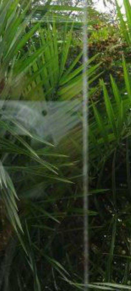 Clear_Glass-2